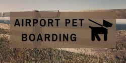 airport pet boarding